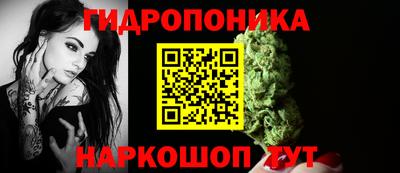 прущие крисы Ачхой-Мартан
