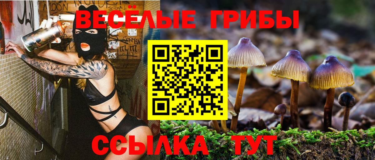 Ртищево  Галлюциногенные грибы мухоморы  Галлюциногенные грибы MAGIC MUSHROOMS  Вход с VPN 